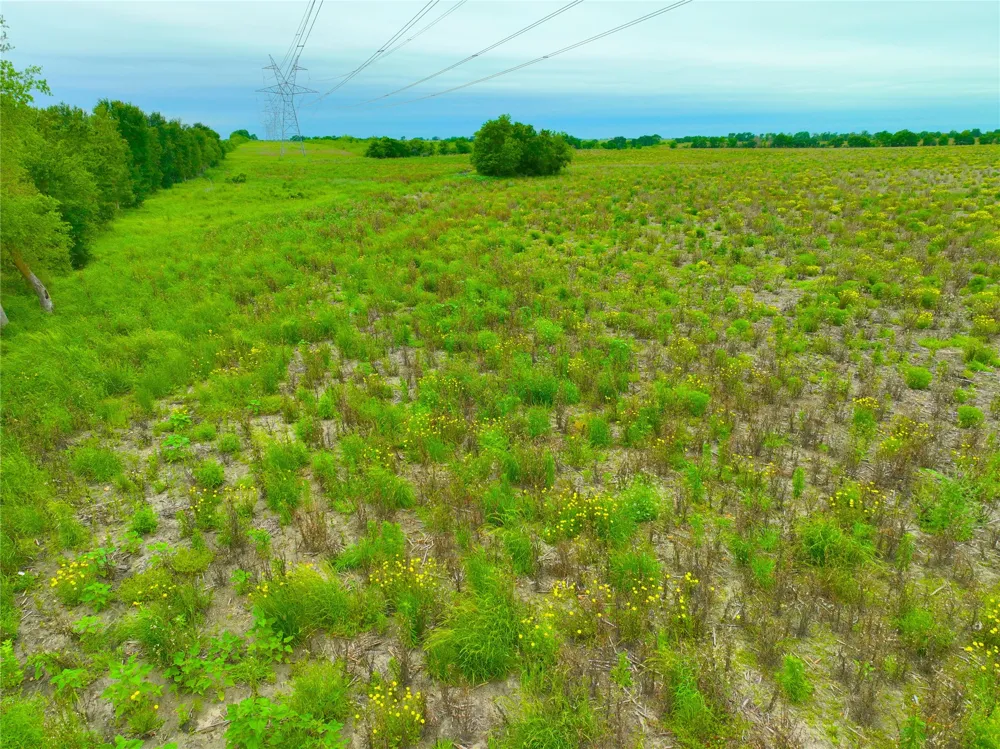 3 132 ROAD Burlington, TX 76518