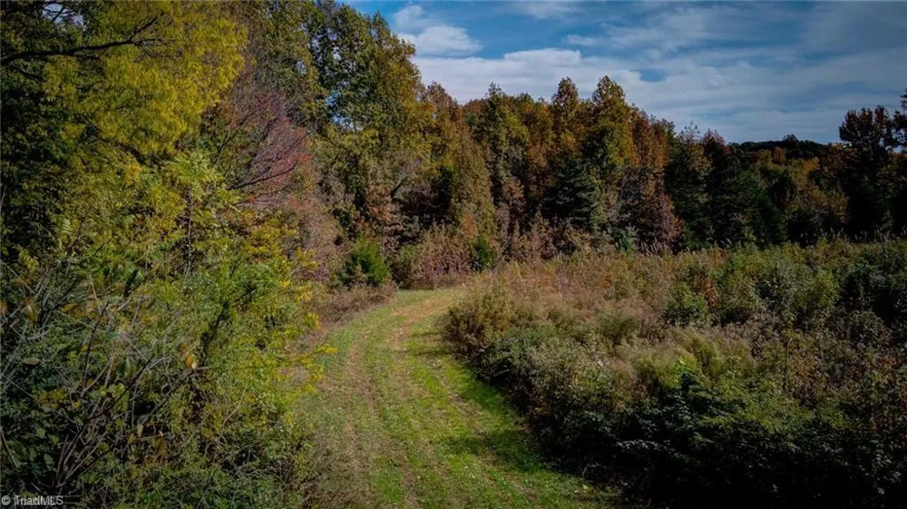 0 Adams Road Reidsville, NC 27320