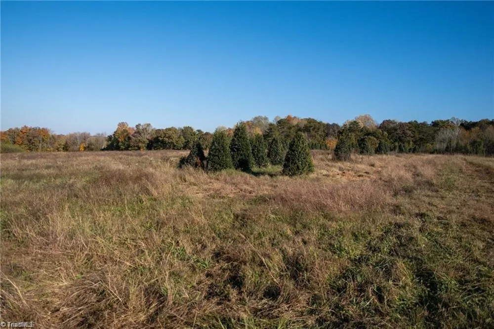 0 Boyd Road Reidsville, NC 27320