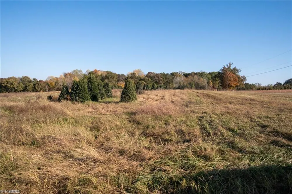 0 Boyd Road Reidsville, NC 27320