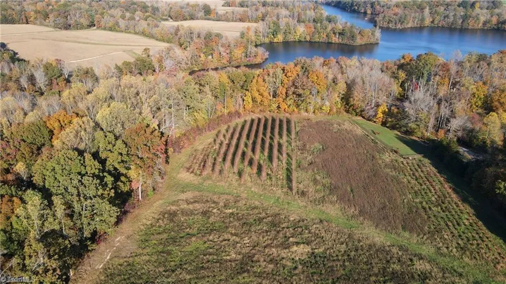 0 Boyd Road Reidsville, NC 27320