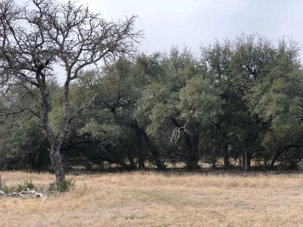 11990 Fm 580 E Kempner, TX 76539