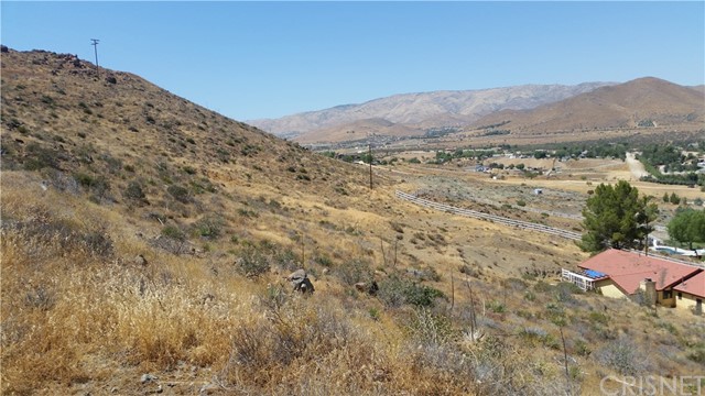 Oki Street Acton, CA 93510