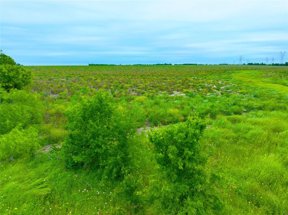 7 132 ROAD Burlington, TX 76518