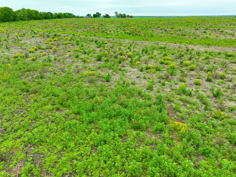 6 132 ROAD Burlington, TX 76518