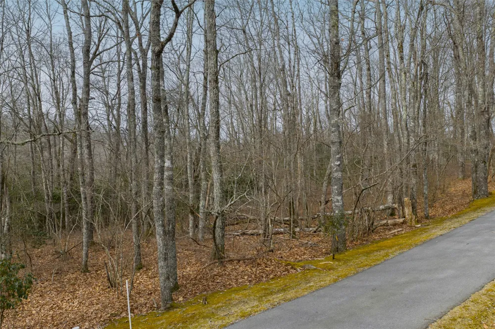 Lot 11 Glenridge Road Glenville, NC 28736