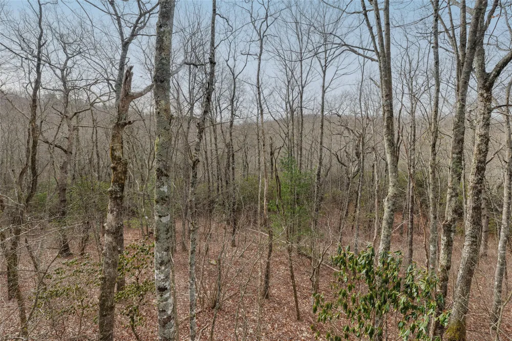 Lot 11 Glenridge Road Glenville, NC 28736