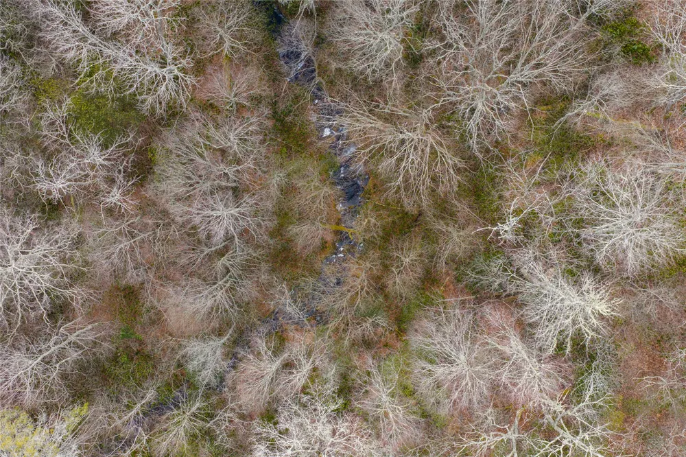 Lot 11 Glenridge Road Glenville, NC 28736