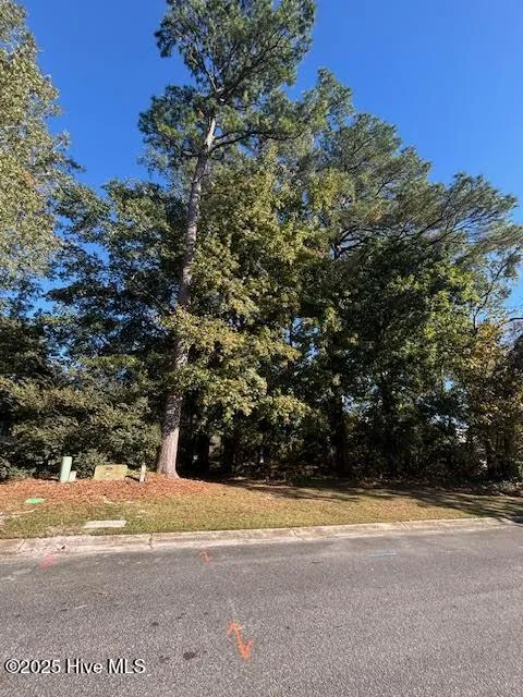 2905 Tacoma Drive Kinston, NC 28504