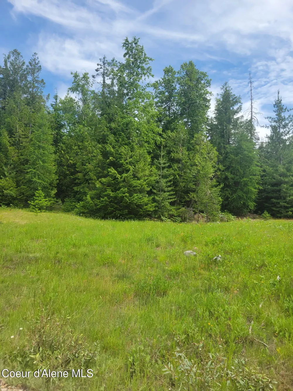 240 Rising Hawk Ridge Road Sandpoint, ID 83864