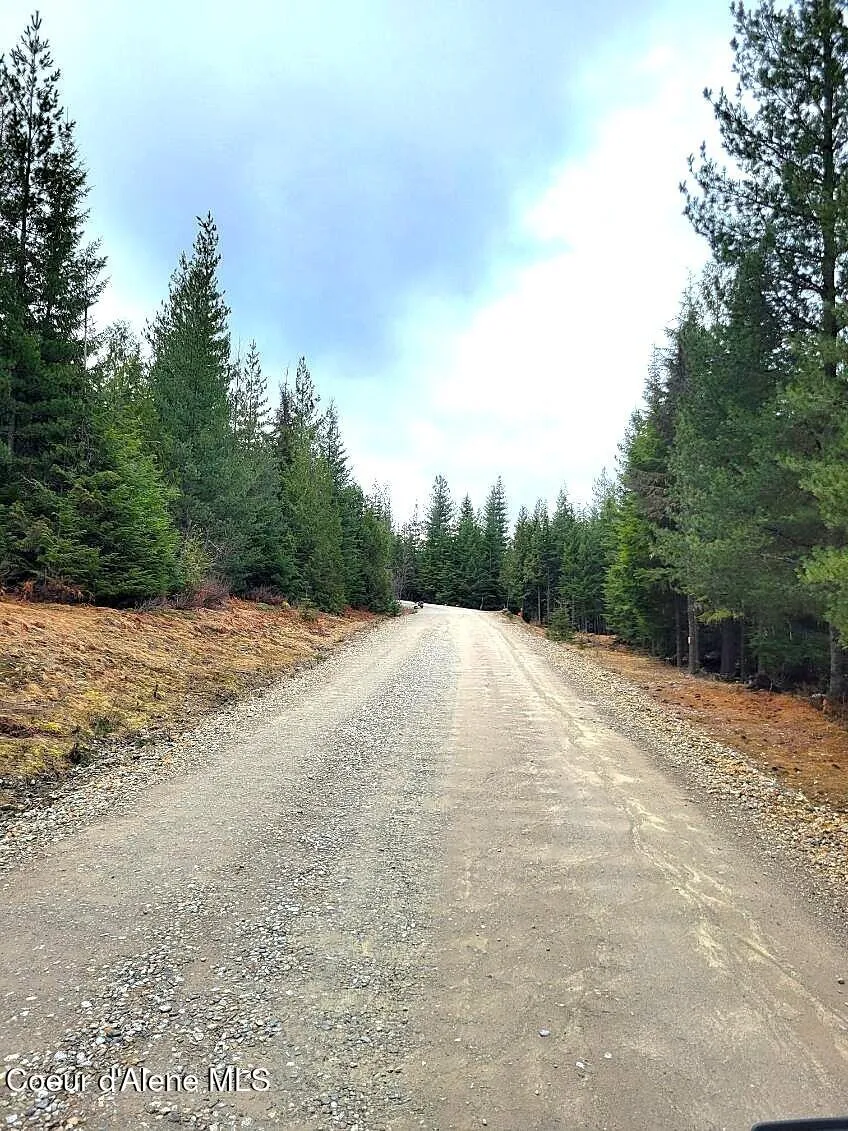 240 Rising Hawk Ridge Road Sandpoint, ID 83864