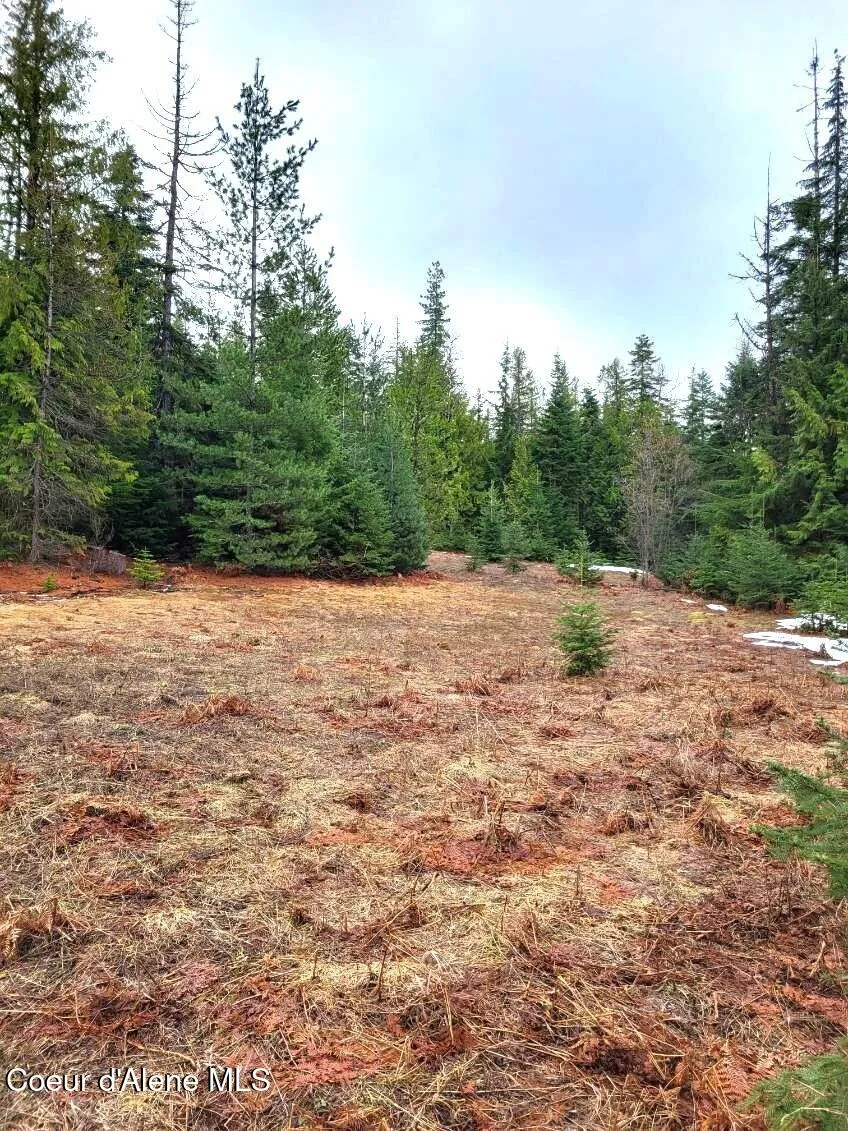 240 Rising Hawk Ridge Road Sandpoint, ID 83864