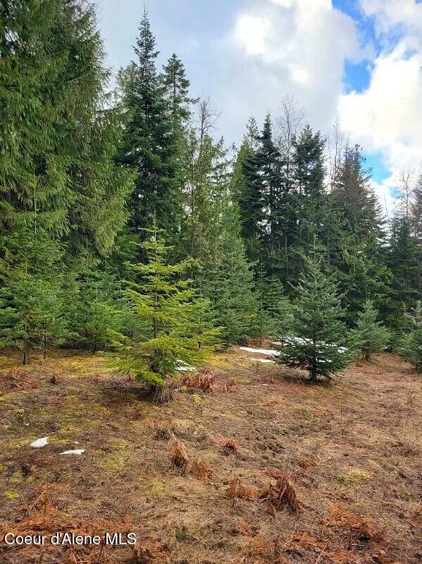 240 Rising Hawk Ridge Road Sandpoint, ID 83864