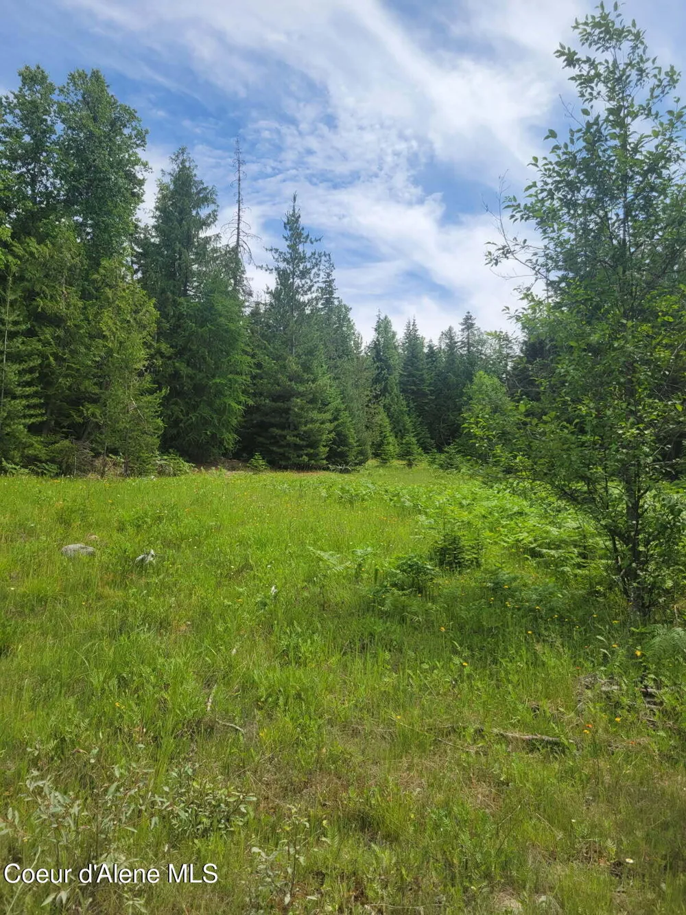 240 Rising Hawk Ridge Road Sandpoint, ID 83864