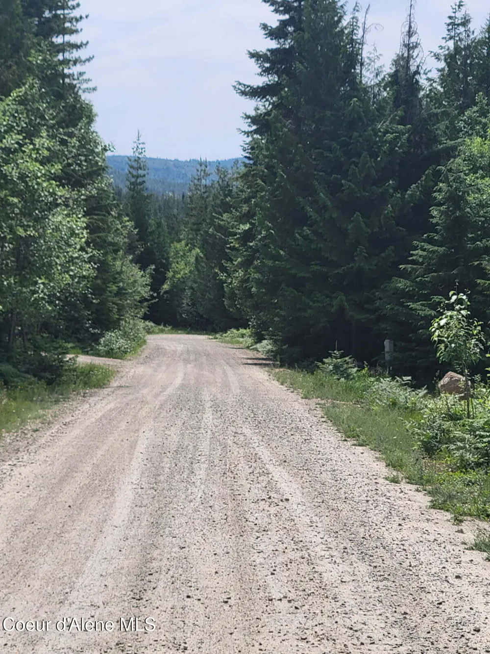 240 Rising Hawk Ridge Road Sandpoint, ID 83864