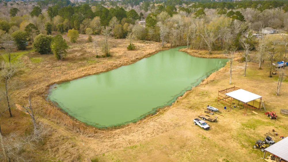 276 Hoot Owl Hollow Road Goodrich, TX 77335