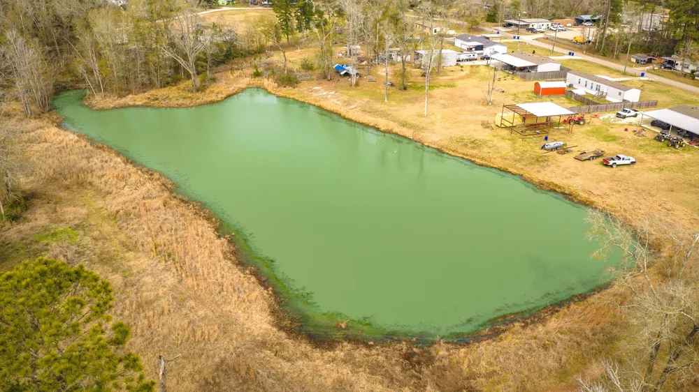 276 Hoot Owl Hollow Road Goodrich, TX 77335