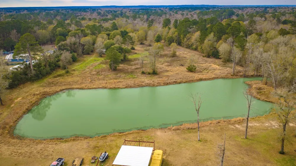 276 Hoot Owl Hollow Road Goodrich, TX 77335