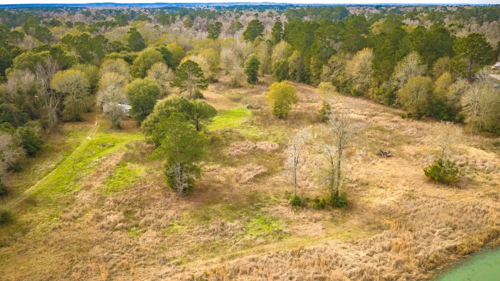 276 Hoot Owl Hollow Road Goodrich, TX 77335