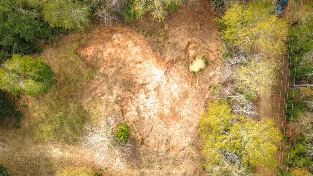276 Hoot Owl Hollow Road Goodrich, TX 77335