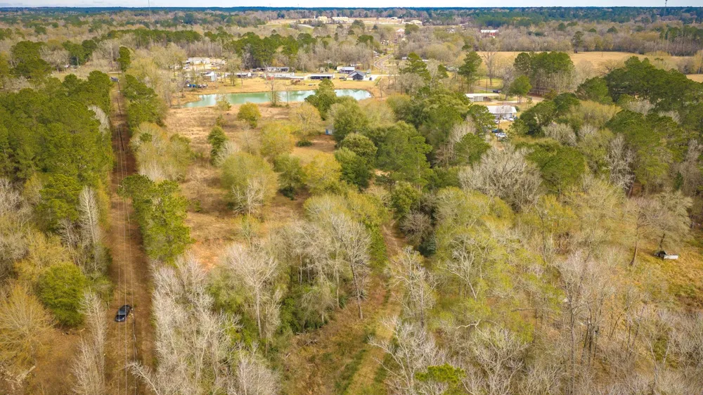 276 Hoot Owl Hollow Road Goodrich, TX 77335