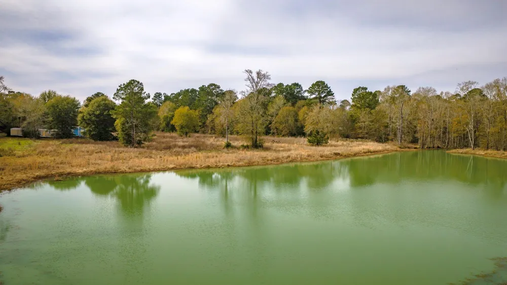 276 Hoot Owl Hollow Road Goodrich, TX 77335