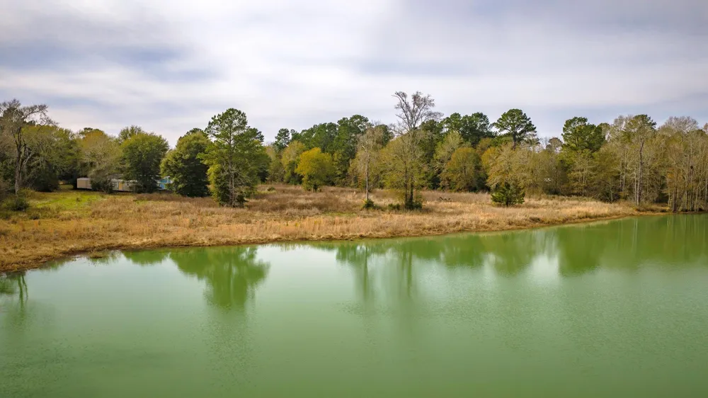 276 Hoot Owl Hollow Road Goodrich, TX 77335