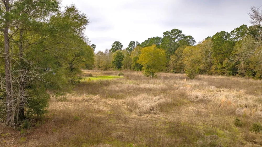 276 Hoot Owl Hollow Road Goodrich, TX 77335