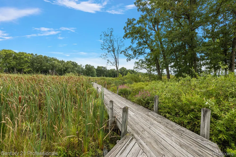 12120 SHAFFER ROAD Springfield Charter Township, MI 48350