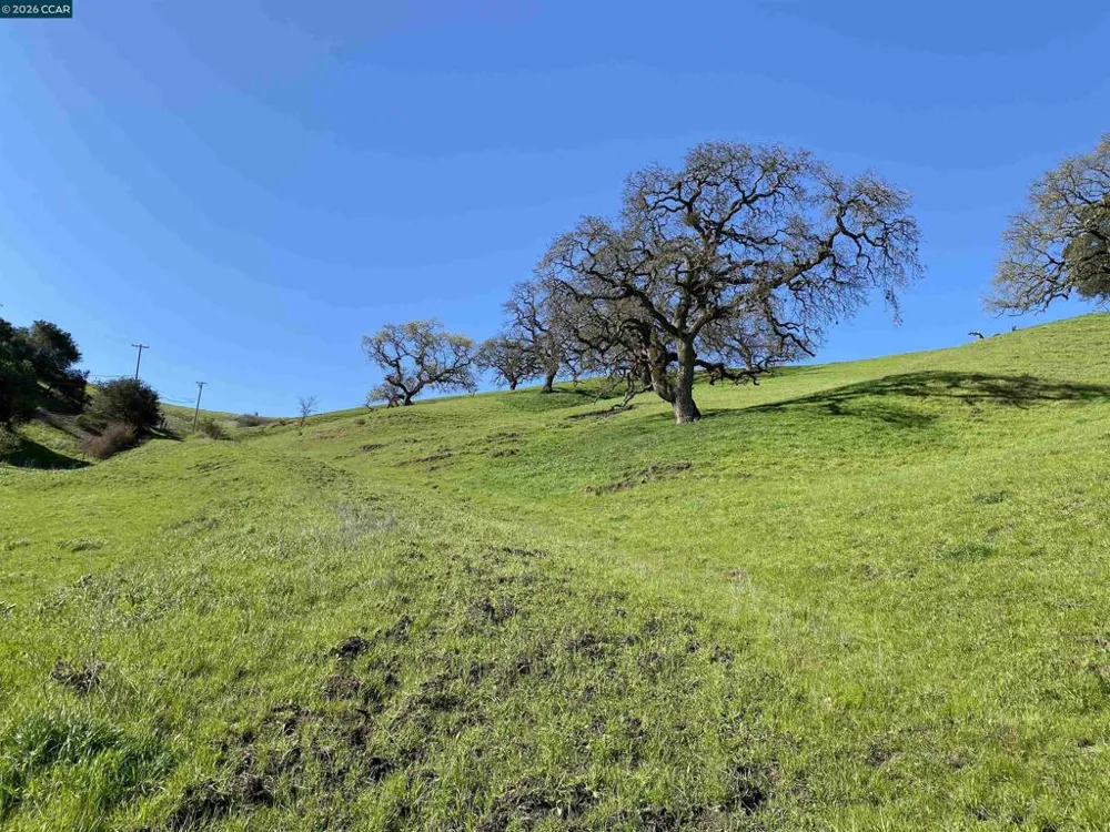 2490 Tassajara Ln Danville, CA 94526