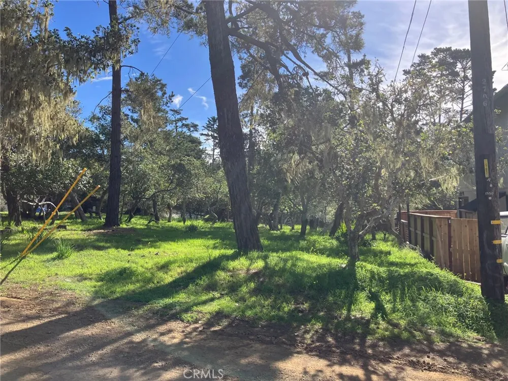 Cowper Street Cambria, CA 93428