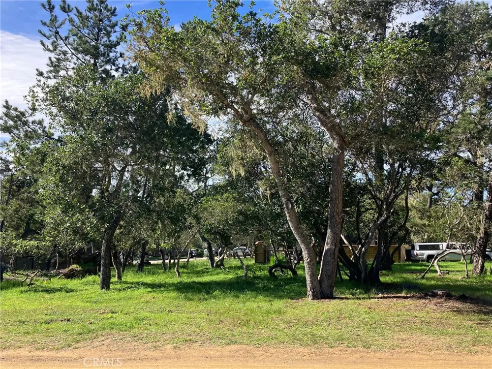 Cowper Street Cambria, CA 93428