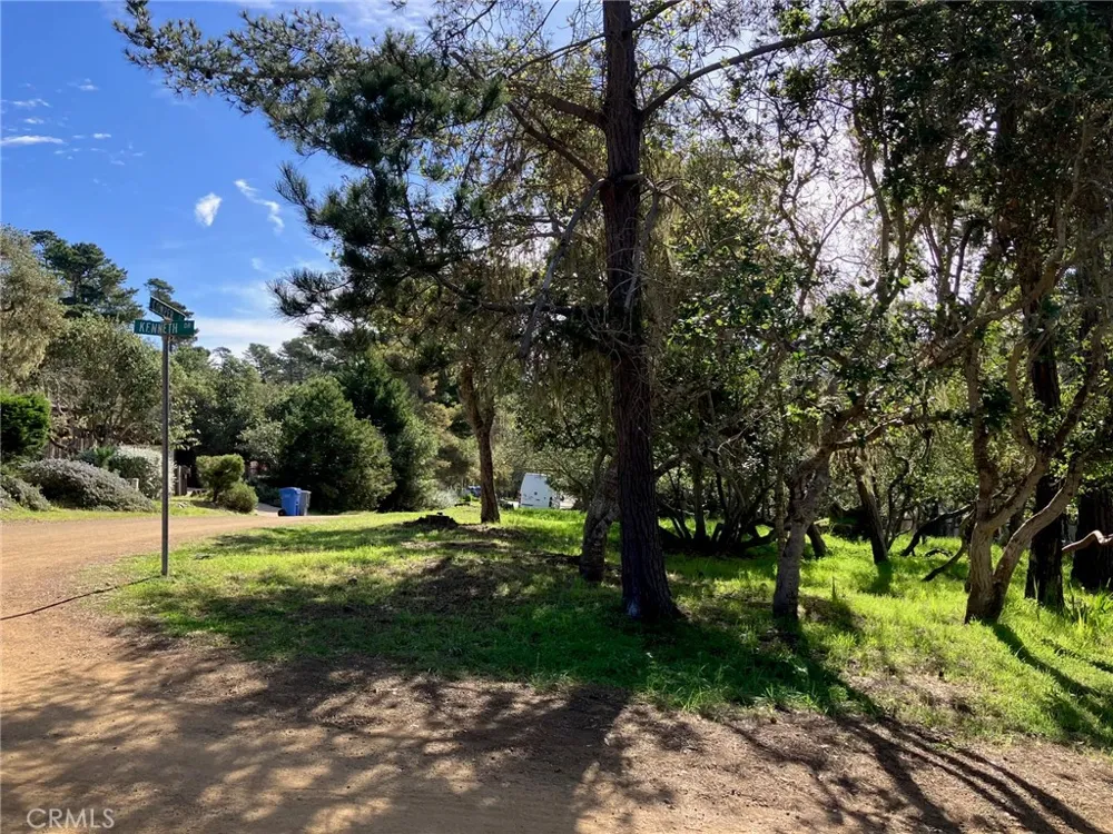 Cowper Street Cambria, CA 93428