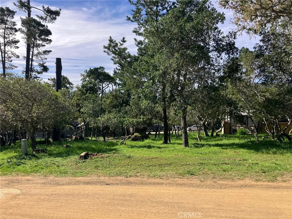 Cowper Street Cambria, CA 93428
