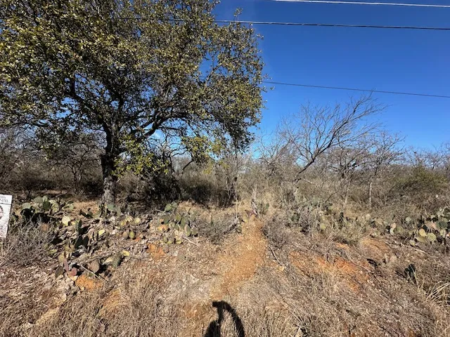 TBD Cedar Drive Granite Shoals, TX 78654