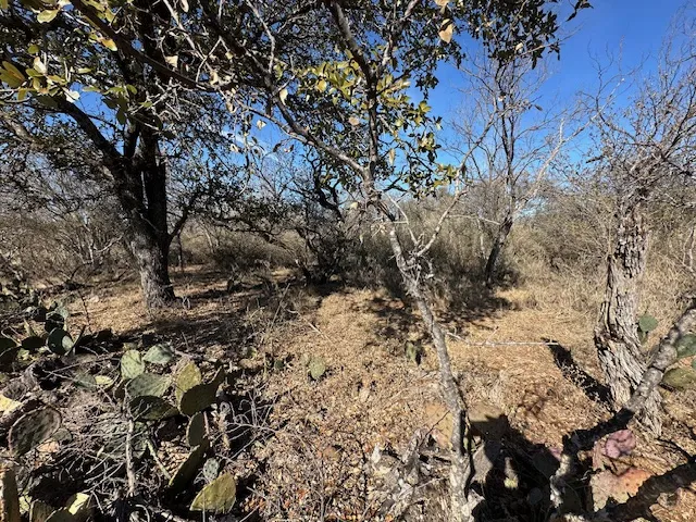 TBD Cedar Drive Granite Shoals, TX 78654