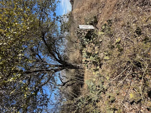 TBD Cedar Drive Granite Shoals, TX 78654