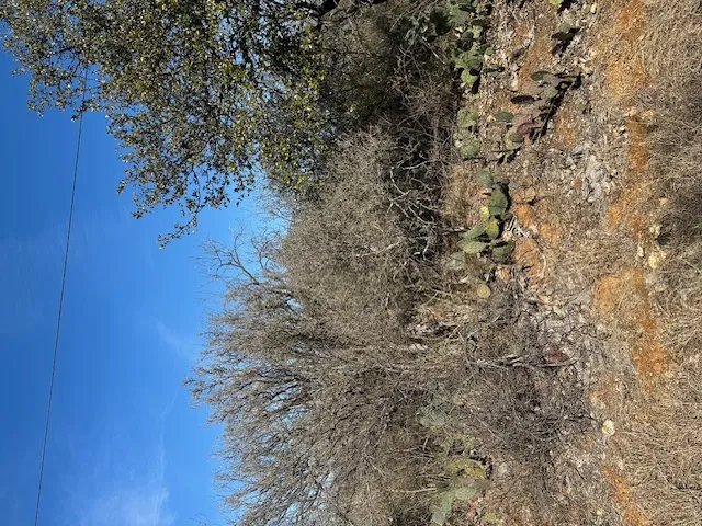 TBD Cedar Drive Granite Shoals, TX 78654