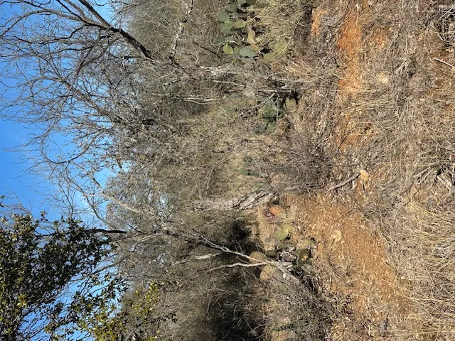 TBD Cedar Drive Granite Shoals, TX 78654