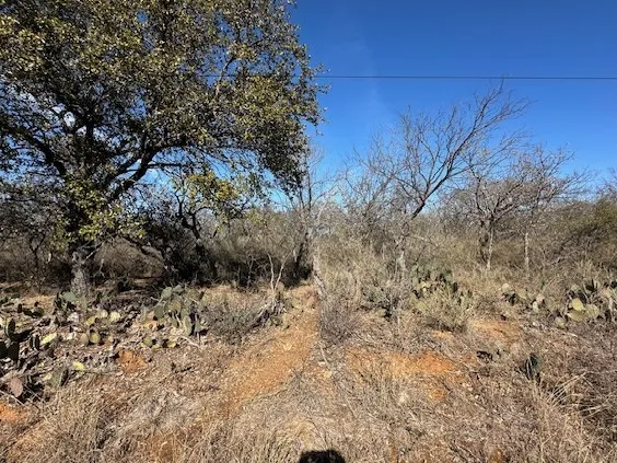 TBD Cedar Drive Granite Shoals, TX 78654