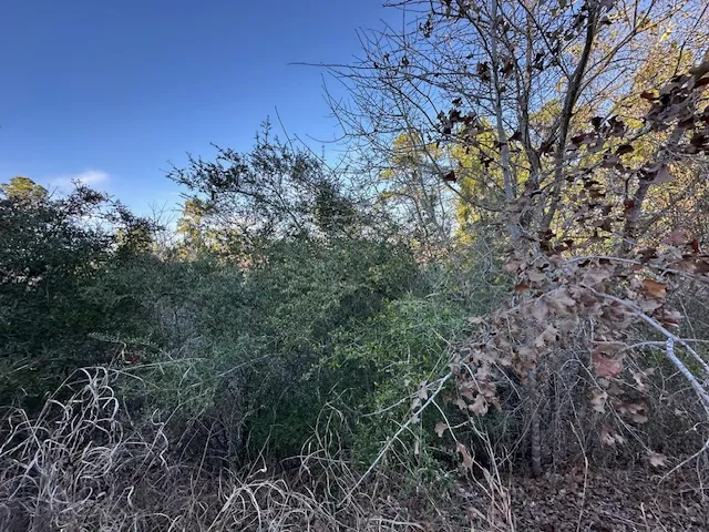 TBD Cedar Drive Granite Shoals, TX 78654
