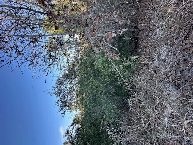 TBD Cedar Drive Granite Shoals, TX 78654
