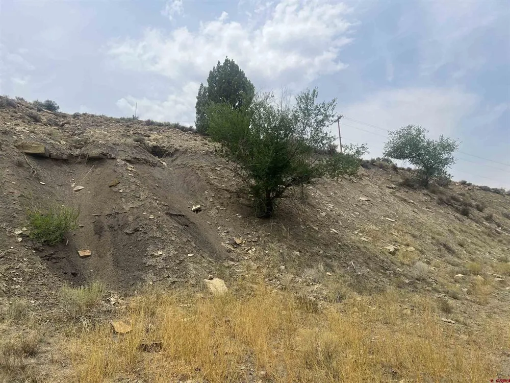 Highway 491 Cortez, CO 81321
