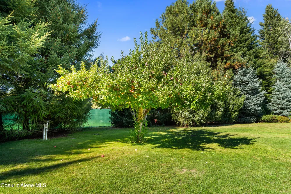 7535 MT CARROL STREET Dalton Gardens, ID 83815