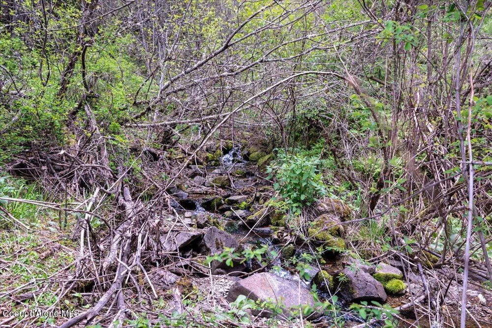 NNA Corbin Hill Road Hayden, ID 83835
