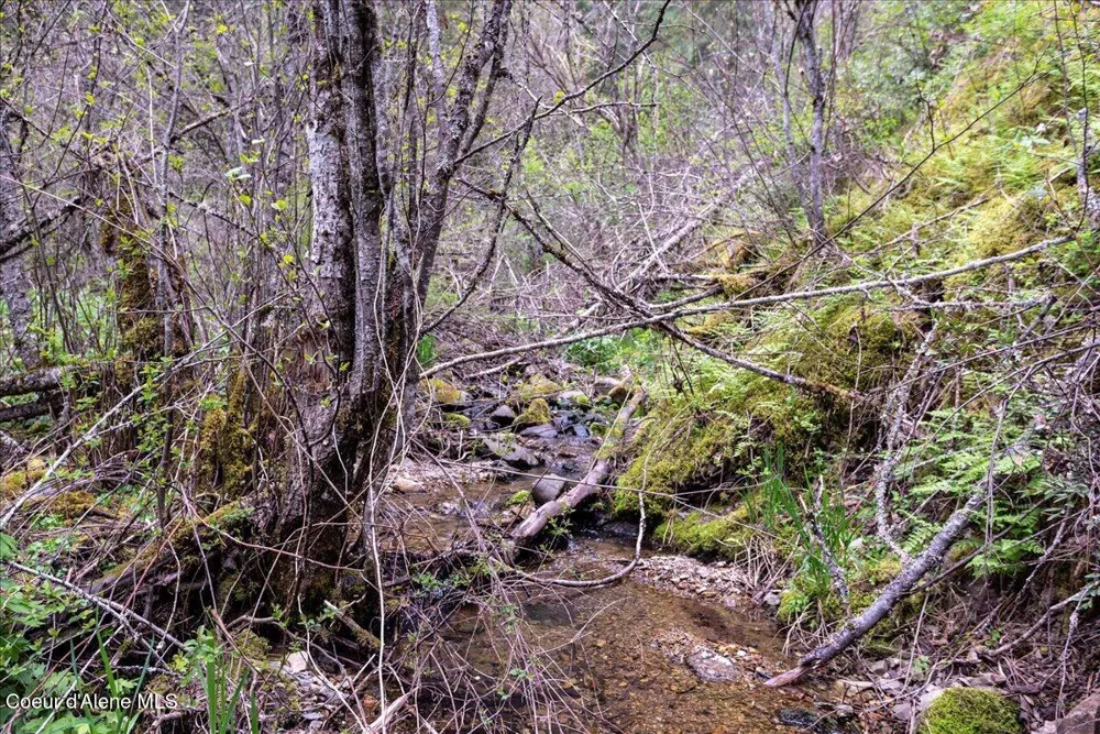 NNA Corbin Hill Road Hayden, ID 83835