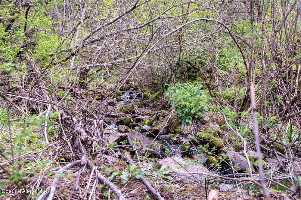 NNA Corbin Hill Road Hayden, ID 83835
