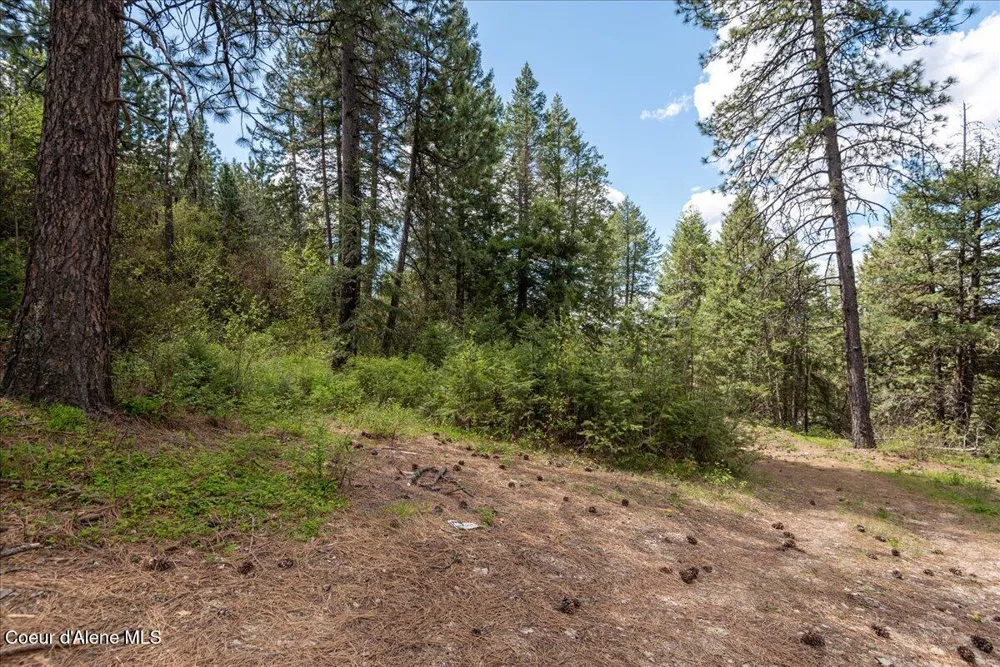 NNA Corbin Hill Road Hayden, ID 83835