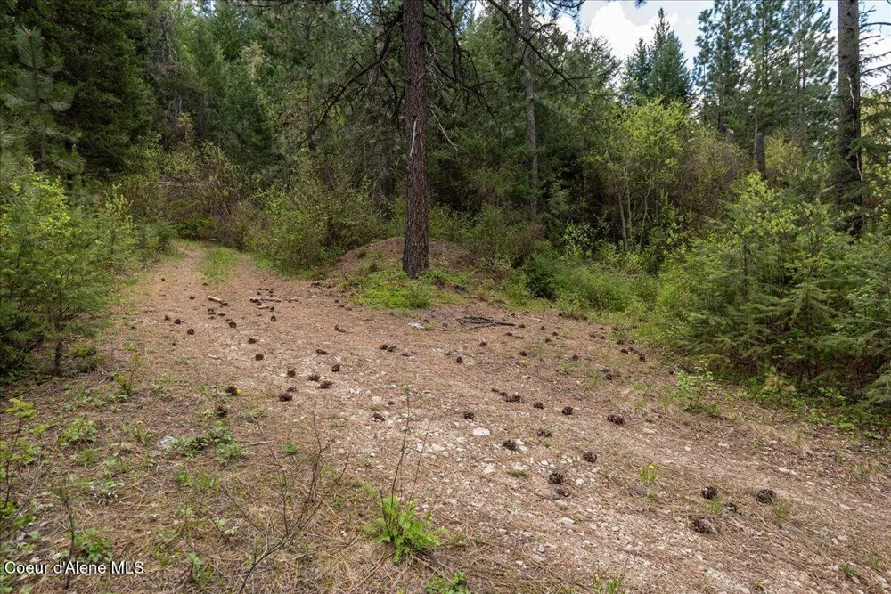NNA Corbin Hill Road Hayden, ID 83835