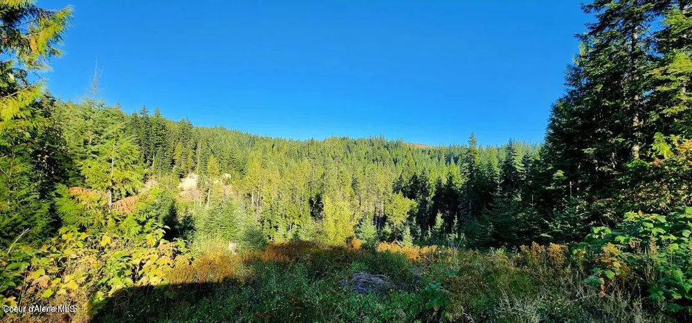 1530 Dusty Lane St. Maries, ID 83861